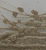 Sand 61x40cm